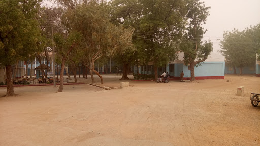 Katsina College, Katsina, M Dikko Rd, Katsina, Nigeria, Public University, state Katsina
