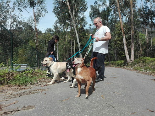 ALAAR - Associação Limiana dos Amigos dos Animais de Rua - Ponte de Lima