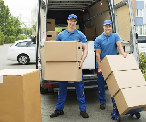 Mudances MD – (Fornells de la Selva)