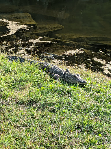 Golf Club «Westchase Golf Club», reviews and photos, 11602 Westchase Golf Dr, Tampa, FL 33626, USA