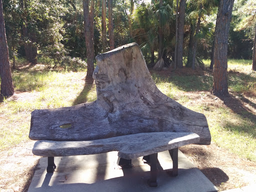 Park «Wall Springs Park», reviews and photos, 3725 Desoto Blvd, Palm Harbor, FL 34683, USA