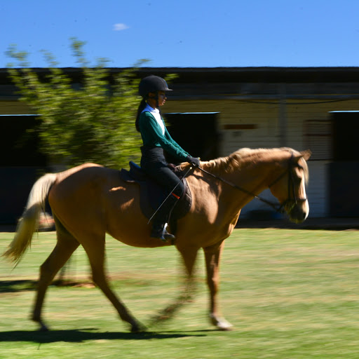 Pony riding places in Johannesburg