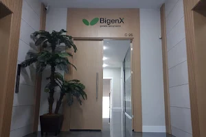 BigenX image