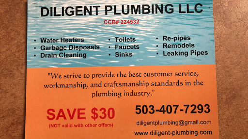 Diligent Plumbing LLC
