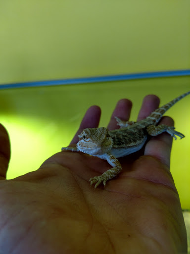 Pet Store «Critter Cabana - Wilsonville», reviews and photos, 8406 SW Main St #200, Wilsonville, OR 97070, USA