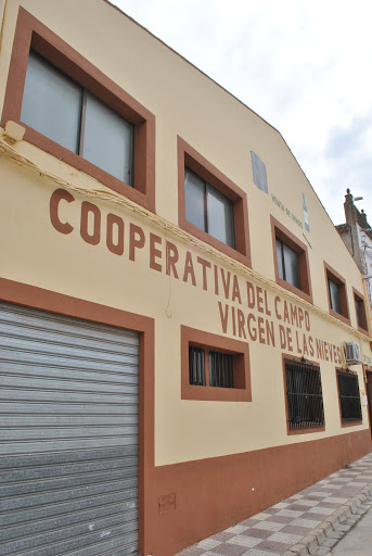 Cooperativa Virgen de las Nieves en Cenizate