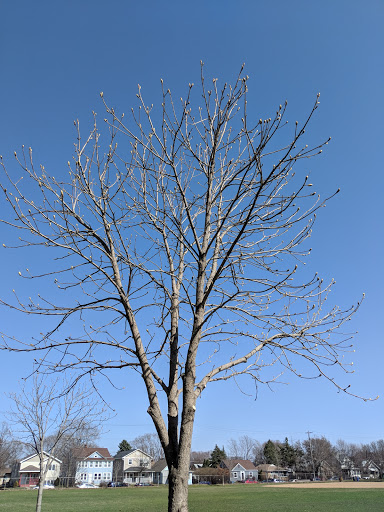 Park «Marshall Terrace Park», reviews and photos, 2740 Marshall St NE, Minneapolis, MN 55418, USA