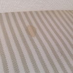 Photo n°6 de l'avis de Moa.l fait le 10/07/2022 à 15:31 sur le  Hotel Gardesana à Riva del Garda