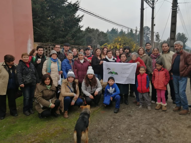 Turismo Aventura Antu Malen - Chillán