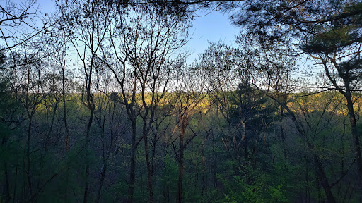 State Park «Wilson Mountain Reservation», reviews and photos, 384 Common St, Dedham, MA 02026, USA