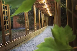 La Cabane Wine Spa : Location cabane romantique avec spa privatif pour week-end en amoureux image