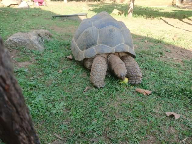 Photo n° 1 de l'avis de Laetitia.o fait le 20/10/2019 à 17:56