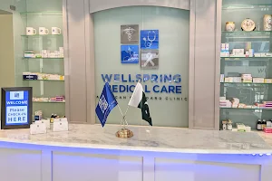Wellspring Medical Care - Primary Care Clinic - Bahria Town image