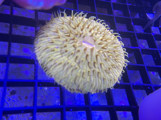 Pet Supply Store «House of Pets Inc», reviews and photos, 29500 Ford Rd, Garden City, MI 48135, USA