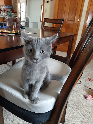 Stock-Aid Veterinary Clinic