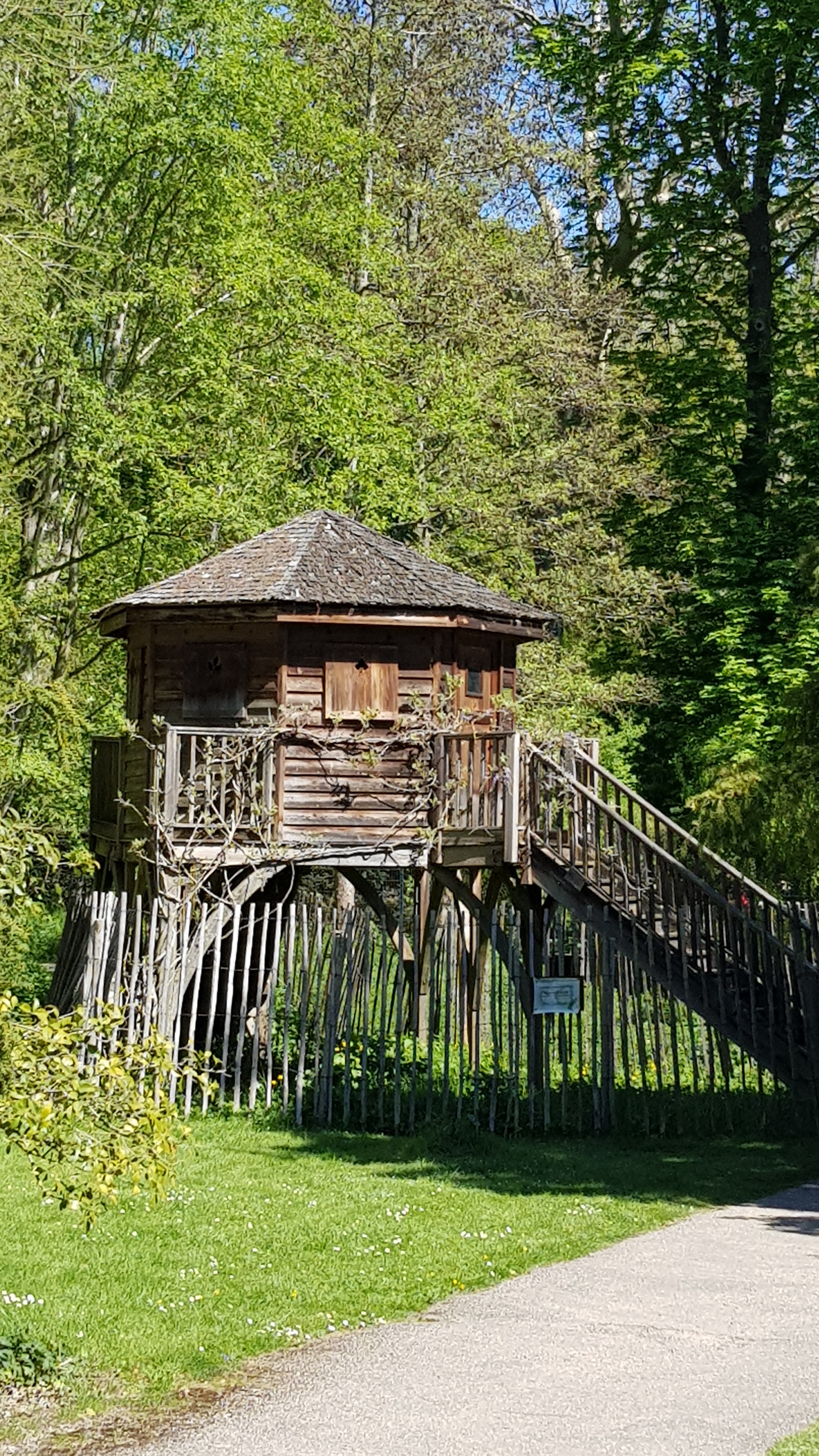 Photo n° 1 de l'avis de Timy.l fait le 25/04/2021 à 20:35