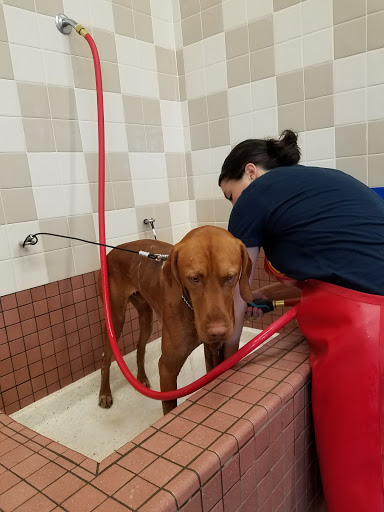 Pet Supply Store «Pet Food Express», reviews and photos, 11430 San Pablo Ave, El Cerrito, CA 94530, USA