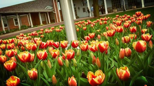 Hotel «Nationwide Hotel & Conference Center», reviews and photos, 100 Green Meadows Dr S, Lewis Center, OH 43035, USA