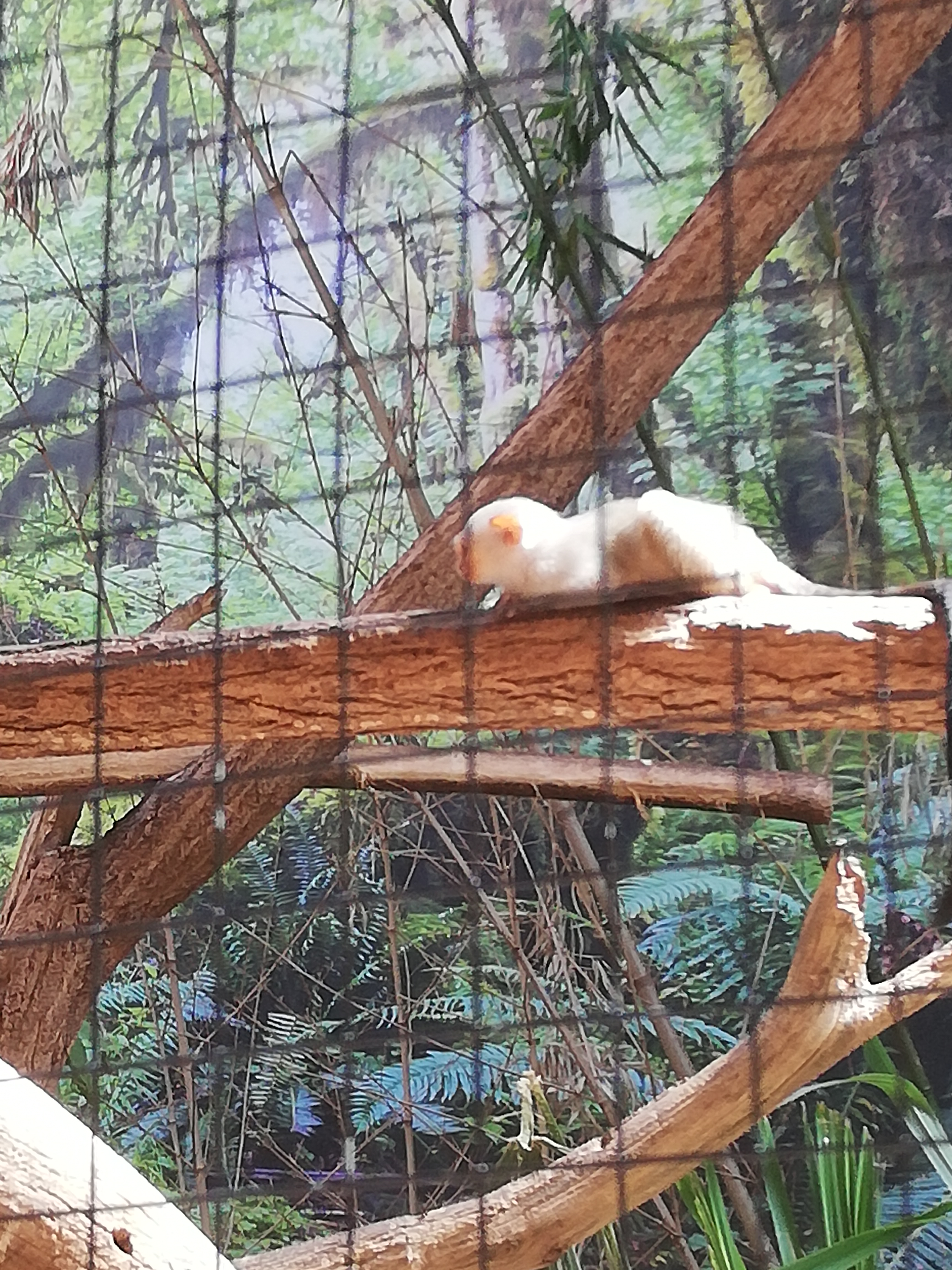 Photo n° 6 de l'avis de Soleil. fait le 20/08/2020 à 12:36