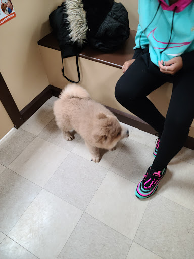 Pet Store «Petland», reviews and photos, 1514 Stonecreek Dr, Pickerington, OH 43147, USA