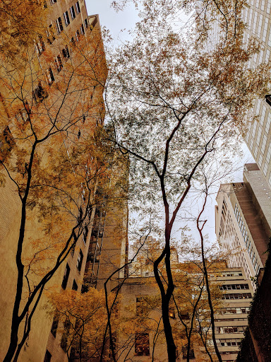 Park «Paley Park», reviews and photos, 3 E 53rd St, New York, NY 10022, USA
