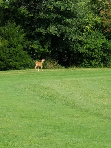 Golf Course «Twin Woods Golf Course», reviews and photos, 2924 E Orvilla Rd, Hatfield, PA 19440, USA