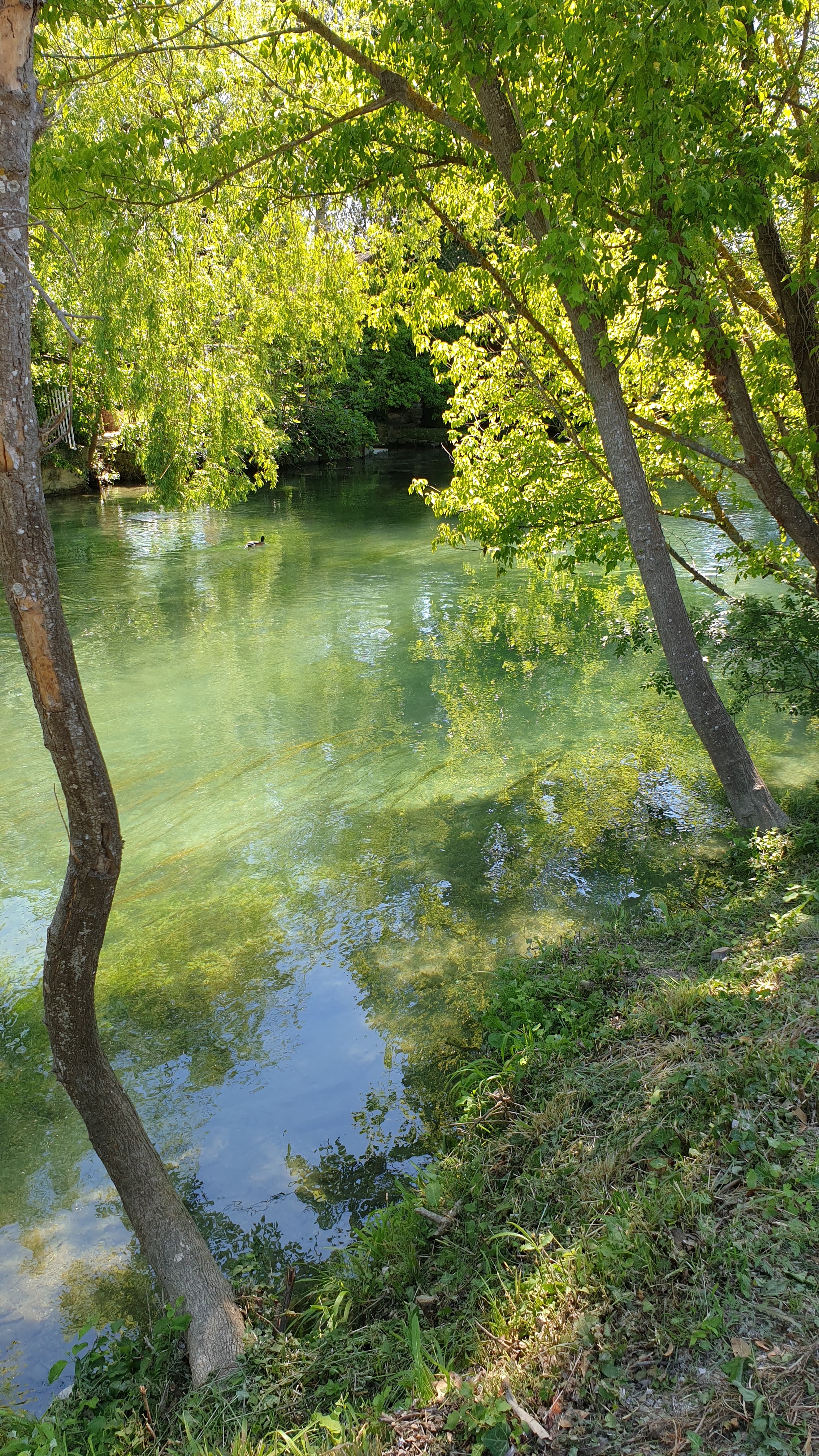 Photo n° 2 de l'avis de Joel.o fait le 08/05/2021 à 16:22