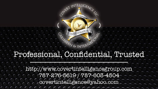 Covert Intelligence, LLC