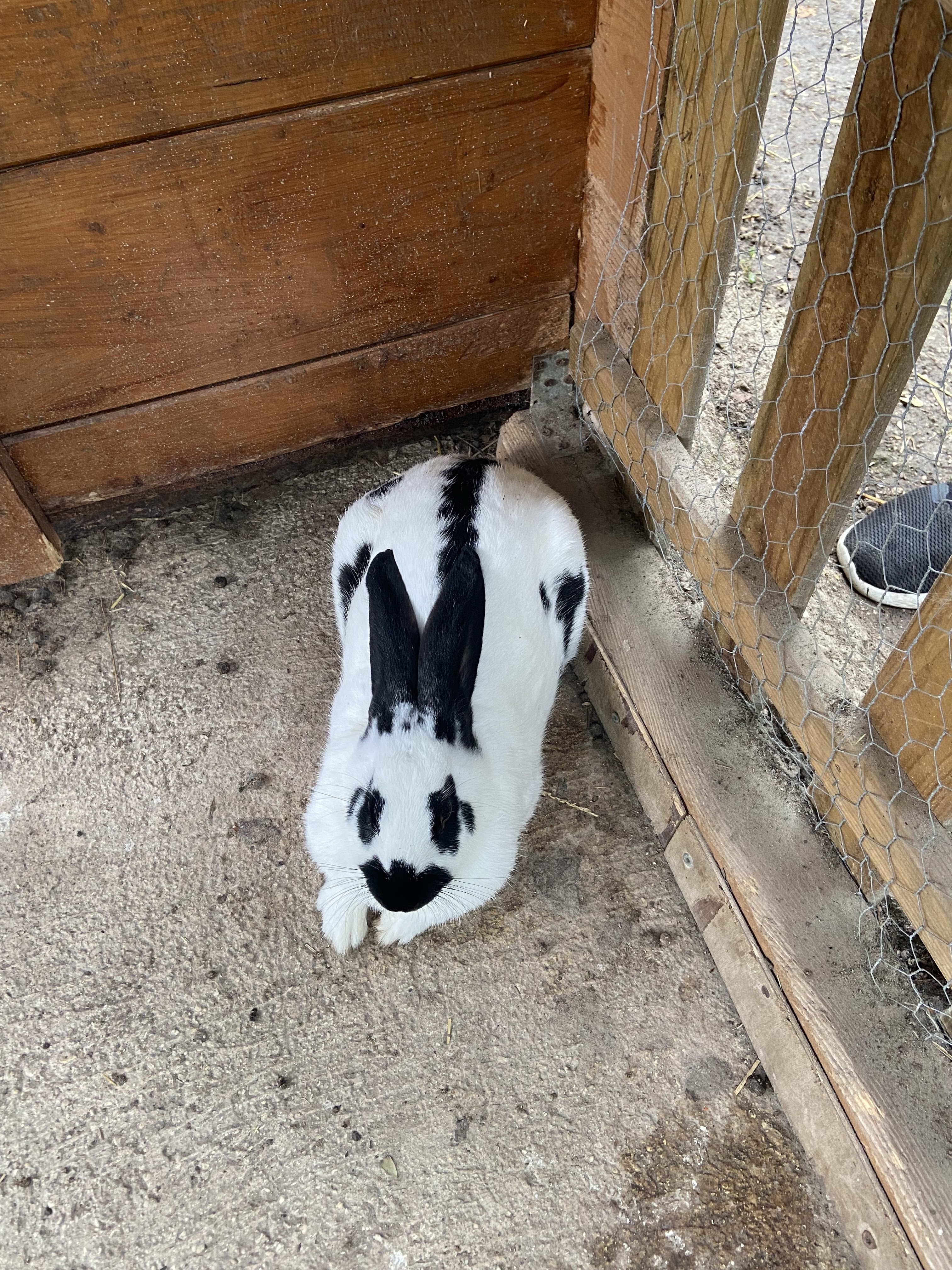 Photo n° 3 de l'avis de lea.a fait le 21/09/2021 à 12:33