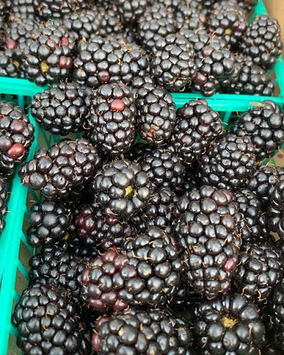 Produce Market «Pedrick Produce», reviews and photos, 6850 Sievers Rd, Dixon, CA 95620, USA