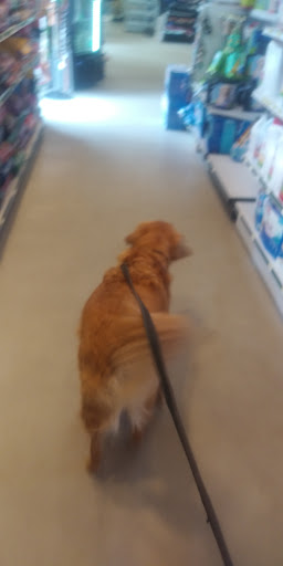 Pet Supply Store «Essex County Co-Op», reviews and photos, 146 S Main St, Topsfield, MA 01983, USA