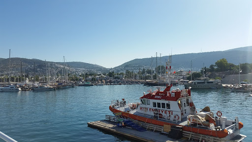 Bodrum Feribot İşletmeciliği