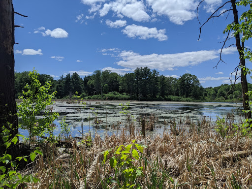 Lubberland Creek Preserve