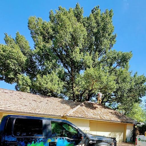 Long Island Tree Service 1