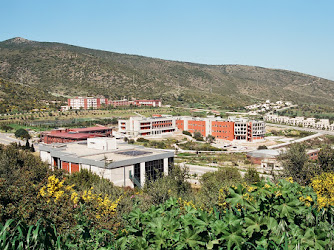 İzmir Yüksek Teknoloji Enstitüsü Moleküler Biyoloji Ve Genetik Bölümü