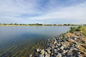 Thornton Gravel Ponds image