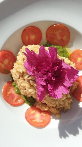 Wine Store «Brown Jug Wine Shop», reviews and photos, 1 Jarves St, Sandwich, MA 02563, USA