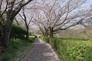 Kamiiwasaki Park image