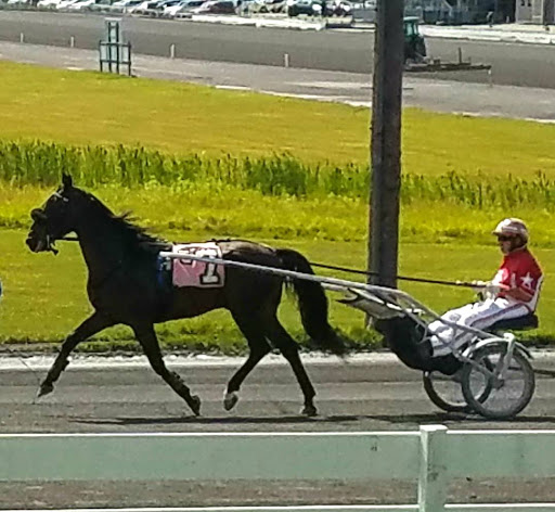 Monticello Raceway: Your Gateway to Upstate NY Adventure!