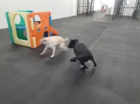 Sandy Pawz Dog House - Car repair in San Marcos, CA, Oceanside - Rated 4.5/5