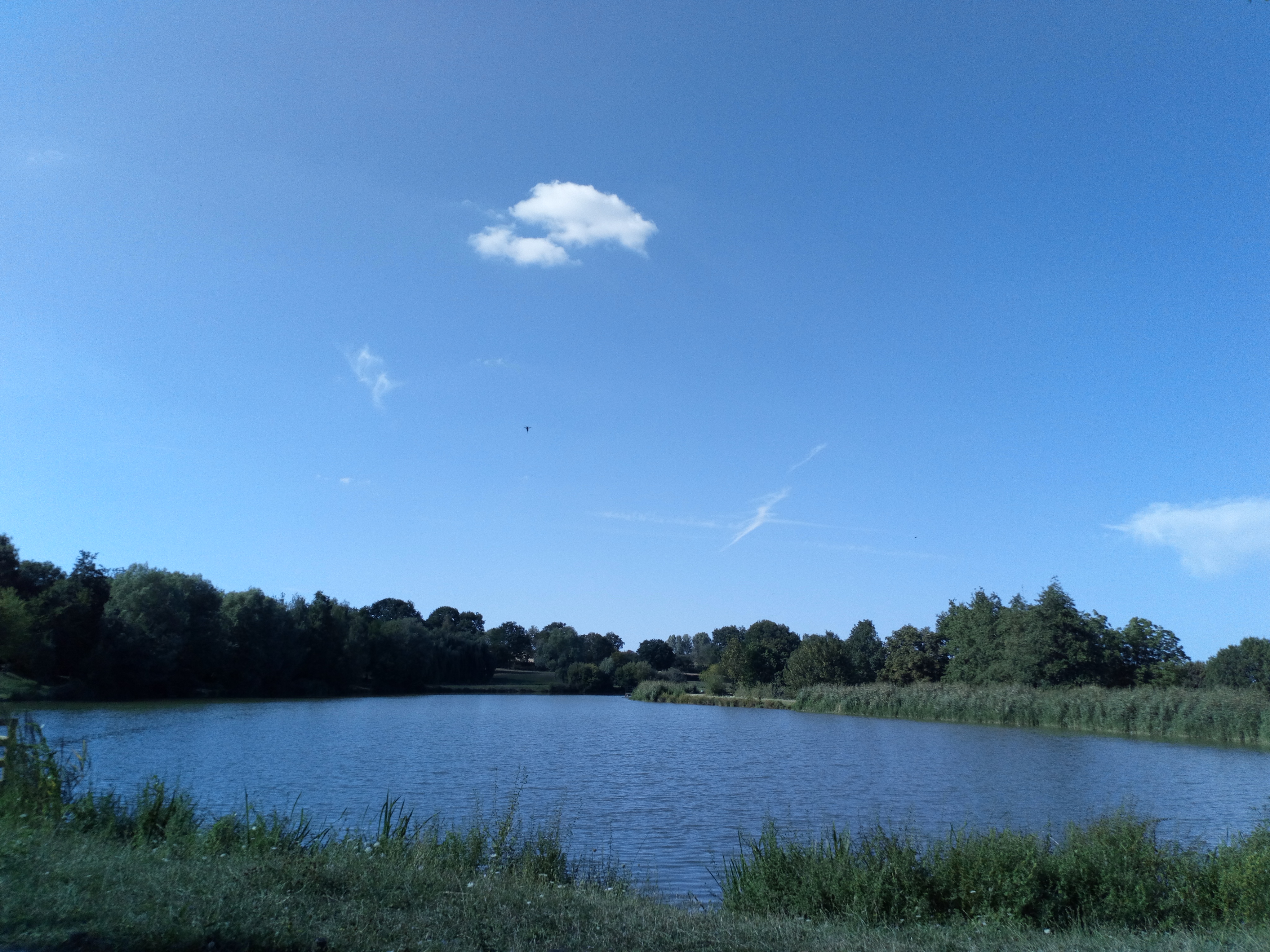 Photo n° 4 de l'avis de Jeanericpascal.a fait le 13/06/2018 à 07:12