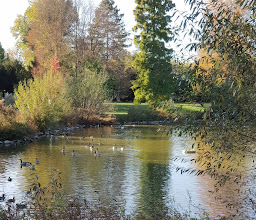 Bird Park City Garden Wattenscheid photo