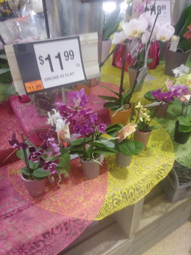 Supermarket «Stop & Shop», reviews and photos, 56 Shank Painter Rd, Provincetown, MA 02657, USA