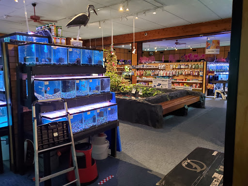 Aquarium Shop «Aquatics Unlimited / Aquatic Realmz», reviews and photos, 3550 S 108th St, Greenfield, WI 53228, USA