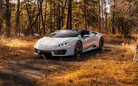 Majestic Roars - Exotic Driving Experience (Denver Office) - Photo 4 - Car repair in Denver, CO, Lakewood