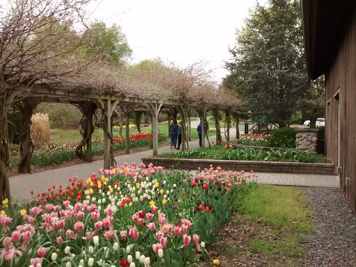 Dog Park «Thomas Bull Memorial Park», reviews and photos, 211 New York 416, Montgomery, NY 12549, USA