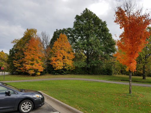 Park «Baker Park Reserve», reviews and photos, 2309 Baker Park Rd, Maple Plain, MN 55359, USA