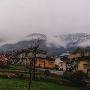 State Bank Of India photo