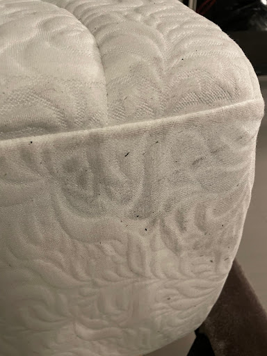 Moving and Storage Service «Two Men and a Truck», reviews and photos, 1521 NW 82nd Ave, Doral, FL 33126, USA