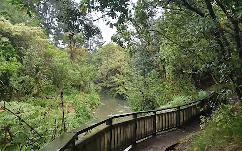 Oakley Creek Te Auaunga Walkway image